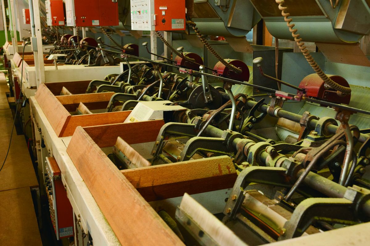 Tea processing machinery ensuring consistent production